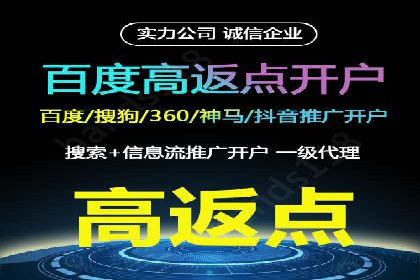 百度竞价排名：企业营销新利器案例分析