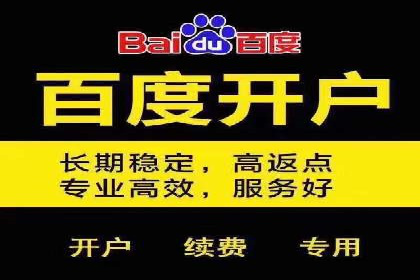 案例解读：SEO与SEM优化助力电商崛起